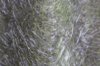 Muxton fibreglass roof work